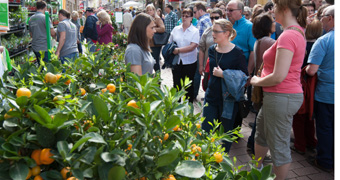 Stand beim Pflänzeltag