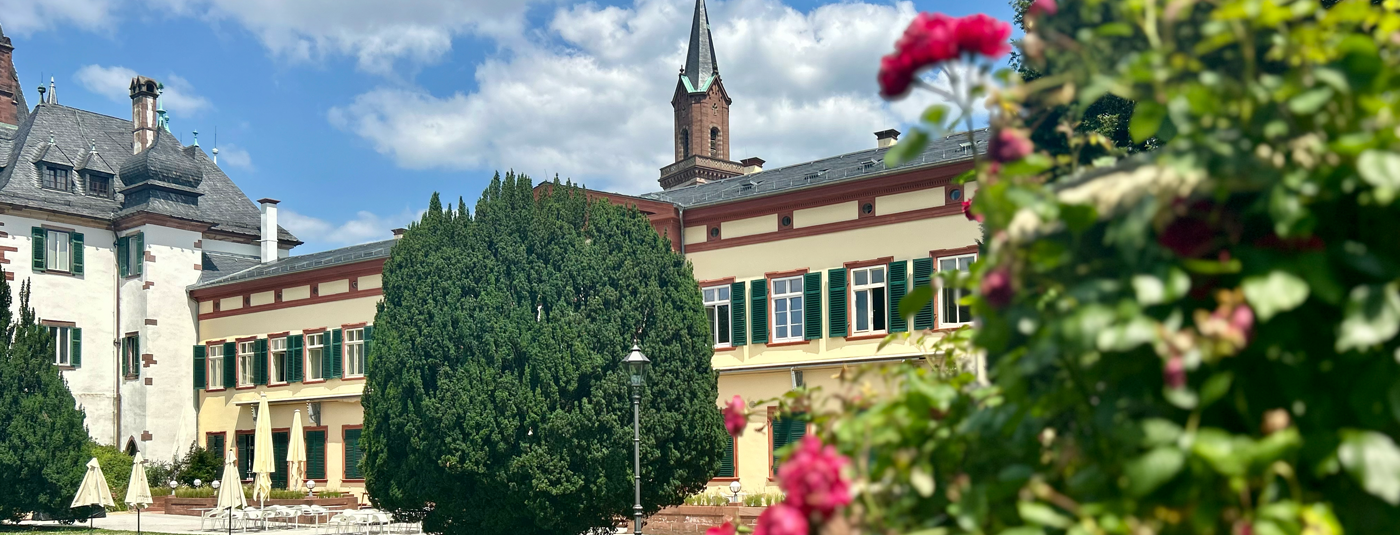 Frühling