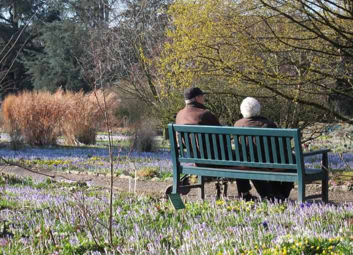 älteres Paar auf einer Parkbank im Hermannshof