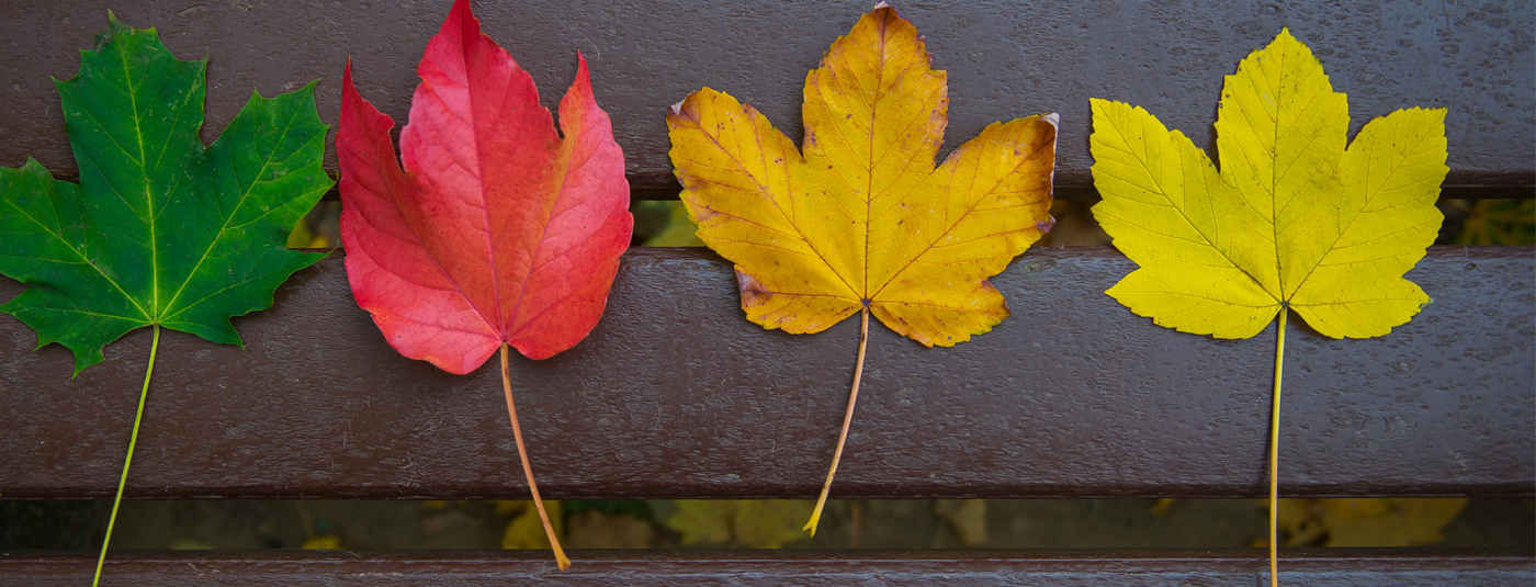 Herbst